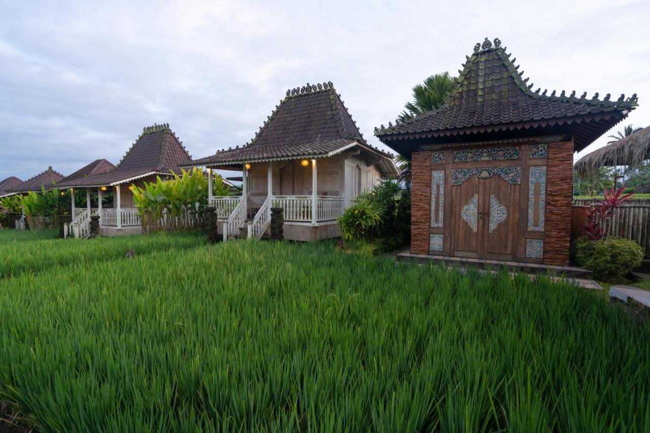 Uma Sebatu Villa Tegallalang  Kültér fotó